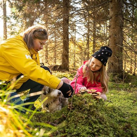Koli Freetime Cottages Ahmovaara Exteriér fotografie
