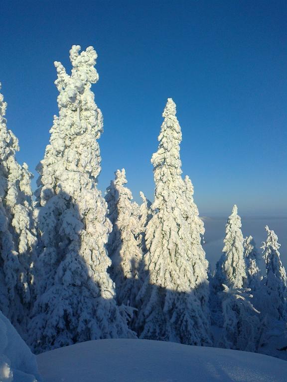 Koli Freetime Cottages Ahmovaara Pokoj fotografie