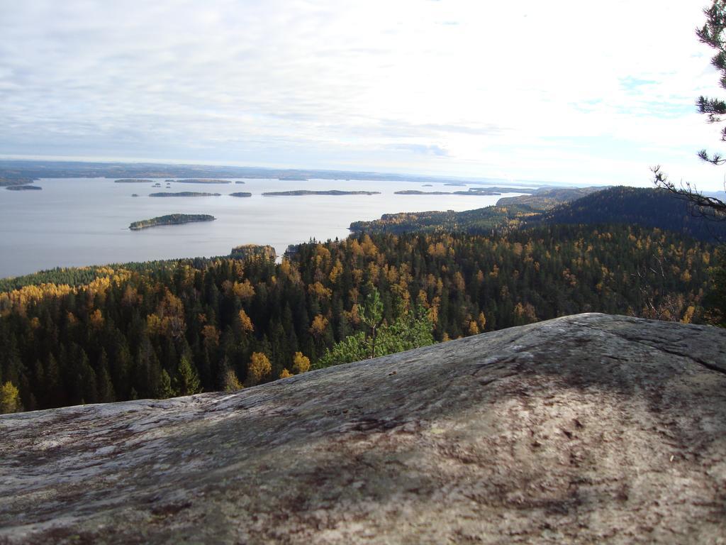 Koli Freetime Cottages Ahmovaara Pokoj fotografie