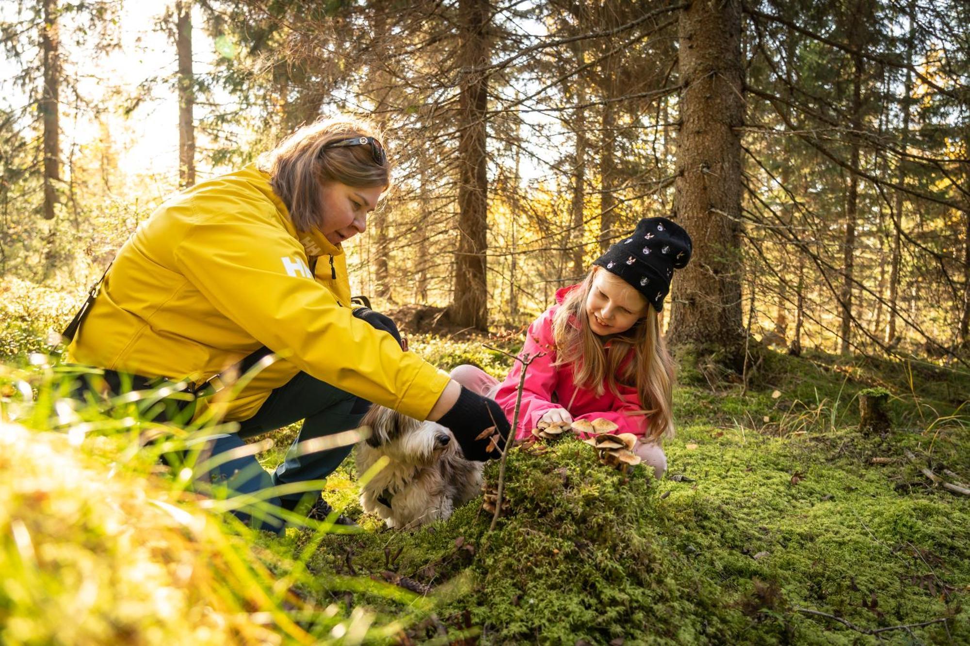 Koli Freetime Cottages Ahmovaara Exteriér fotografie