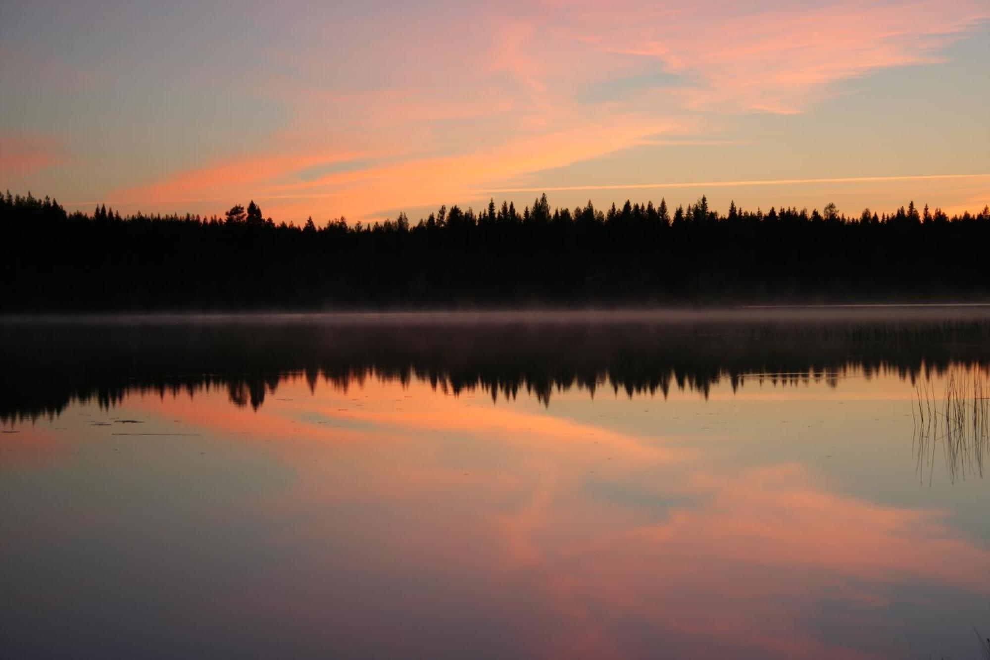 Koli Freetime Cottages Ahmovaara Pokoj fotografie