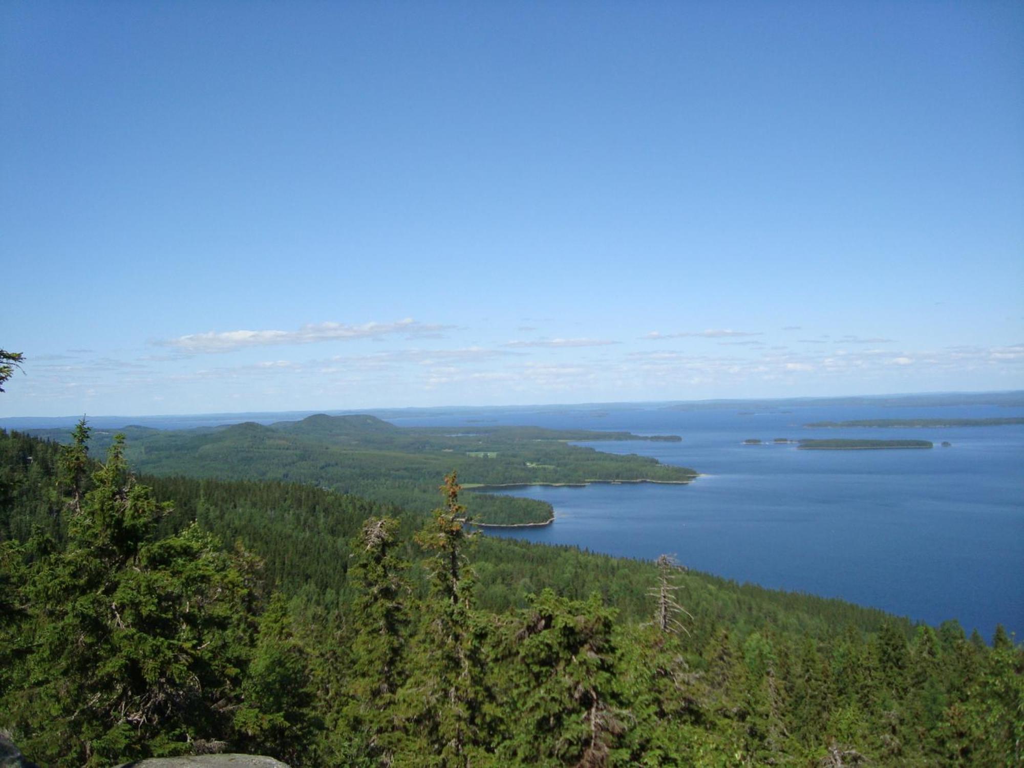Koli Freetime Cottages Ahmovaara Pokoj fotografie