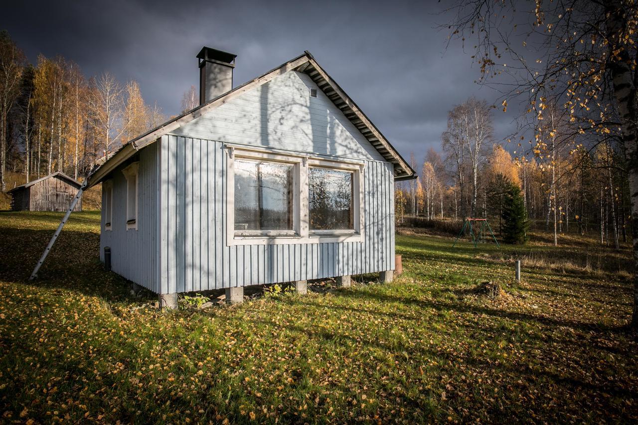 Koli Freetime Cottages Ahmovaara Exteriér fotografie