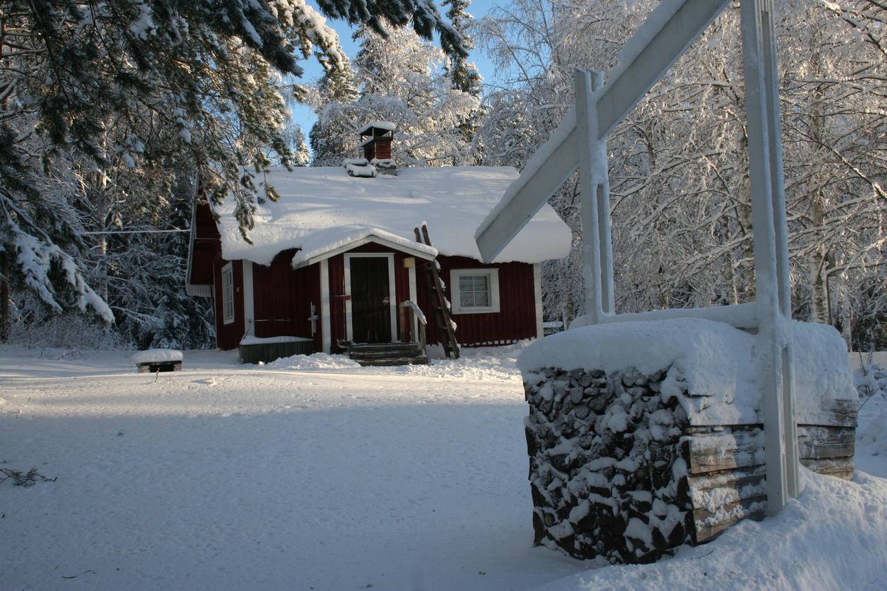 Koli Freetime Cottages Ahmovaara Exteriér fotografie